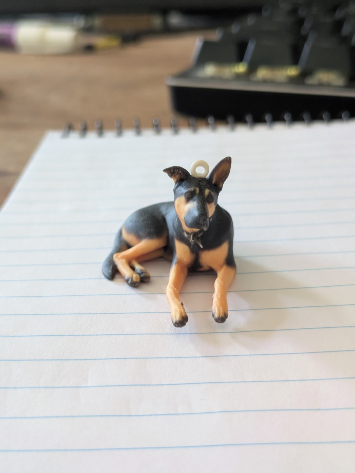 Physical full-colour print of the same dog on a notebook, capturing its markings, resting pose and distinctive ears